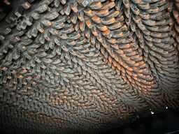 Doppstadt DS 1600/3 Fraktion 2 x Magnetrolle