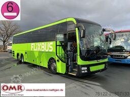 MAN R 09 Lion´s Coach C