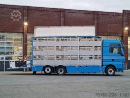 MAN TGX 26.440 6x2*4 - 3 deck Livestock - Water & V...