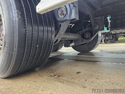FLIEGL SDS 390