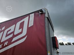 FLIEGL SDS 390