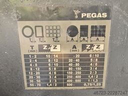 PEGAS 600 Camel X
