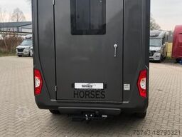 FORD Transit STX Haras NEW MODELL. AUTOMATIK