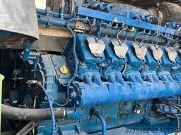 Caterpillar 2020
