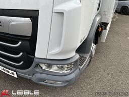 DAF LF 210 FA *BÄR-LBW*nur 253.356 km*