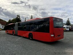 MAN A 23 Lions City