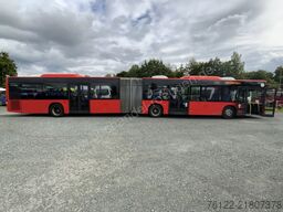 MAN A 23 Lions City