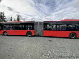 MAN A 23 Lions City