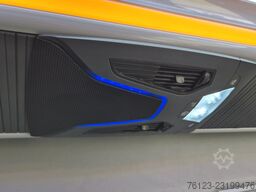 MERCEDES-BENZ Sprinter  319 VIP Shuttle 9 SS  Panoramadach Sto