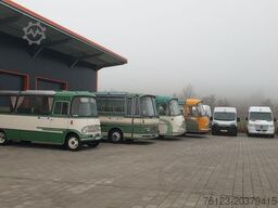 MERCEDES-BENZ Sprinter Lord Comfort 14 Sitzer Inselhüpfer