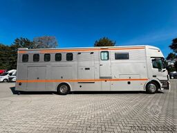 MERCEDES-BENZ Actros 1844   7 Pferde POP-OUT,