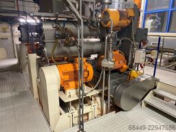Braibanti - Pavan Extruder