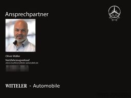 SCHMITZ CARGOBULL Schmitz Cargobull Stahl+Luft/Lift+Rollplane