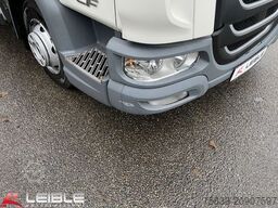 DAF LF210FA*Junge*Dhollandia-LBW*Klima*
