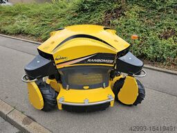 Dvorak Ransomes Spider ILD02