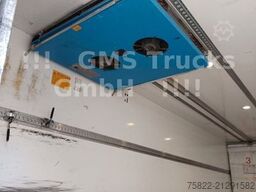 MERCEDES-BENZ Antos 2543 / Frigo Cool / Load 14,3ton