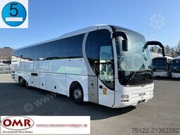 MAN R 08 Lions Coach L/Travego/Tourismo/517