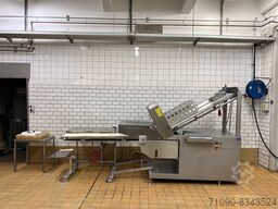 DIXIE UNION / CFS 495-SL