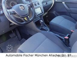 VW Caddy Nfz Maxi Kasten *4M*Sortimo*SHZ*Xenon*