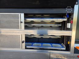 Damak DM IP 176 Intermediate Proofer