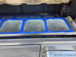 Damak DM IP 176 Intermediate Proofer