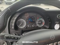 IVECO AS440T/P - AS440 T/P cabinato con ralla