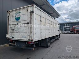 MAN TGM 15.290 / Menke / load 7750kg / E5