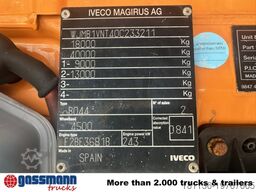 Iveco Trakker AD190T33WP 4x4, Winterdienstausstattung