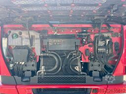 Iveco Stralis 450 Manual gearbox, 2X FUEL TANK, FRIGO