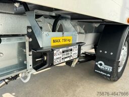 CITROEN Jumper / BLACK FRIDAY / 410x210x205cm und LBW