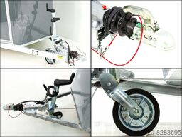 Cheval Liberté Pferdeanhänger GOLD Origins Sattelkammer grau