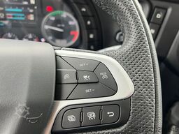 IVECO S-WAY 490/BAUSTOFF/KRAN PALFINGER ODER FASSI