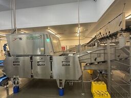 Raytec Curiosity