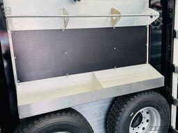 Innenlader Zwischenlader Gabelstaplertransporter