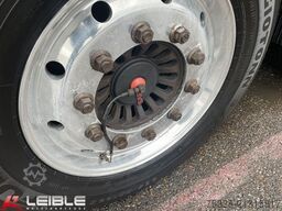 DINKEL DSAPP*Tautliner light*Stapleraufnahme*Pal-Kasten