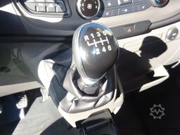 FORD Transit Kasten Trend 310 L3H2 GRA SHZ DAB