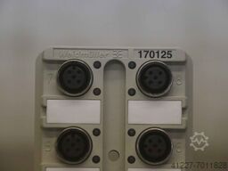 Weidmüller SAI-8-M 5P M12 170125