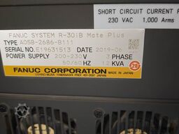 Fanuc M-2iA/3S