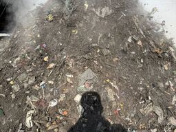 Eggersmann „Star Select S 60“