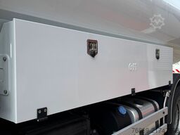 Renault Premium 270.19 TUV-Technical Inspection oke Ret...