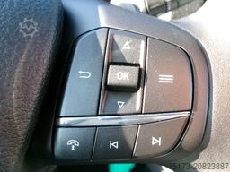 FORD Transit 350 L3H2 LKW Kasten Trend AT AHK 360Kam