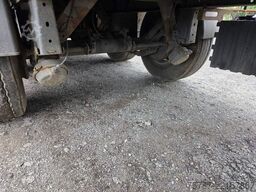 REISCH 65 cbm Schubboden, BPW Trommel, Kornschieber