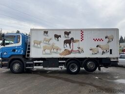 SCANIA R420 6x2 Kippkasten Gebläse & Schleuse