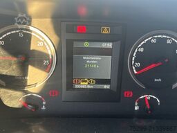 Scania P280LB 6x2*4 Ochsner / Swiss-Vehicle