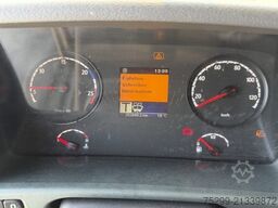 Scania P320 LB6x2*4 Ochsner / Swiss-Vehicle