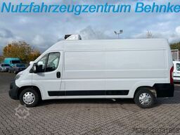 OPEL Movano KA L3H2/ Frischdienst/  TK Xarios 350/ AC