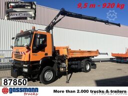 Iveco Trakker AD190T36WP 4x4, Kran,