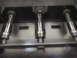 CoastOne Bull15