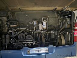 MERCEDES-BENZ Citaro 0530 G,49+101+1, Standheizung, Euro 5 EEV
