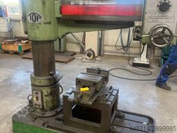 CECCHINI M.L.L. srl CECCHINI M.L.L. srl CECCHINI M.L.L. srl
